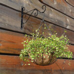 4PC Heavy Metal Hanging Basket Brackets Hanger Hook UK - Image 10